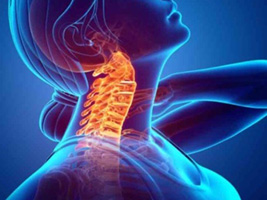 首筋肉調整 イメージ